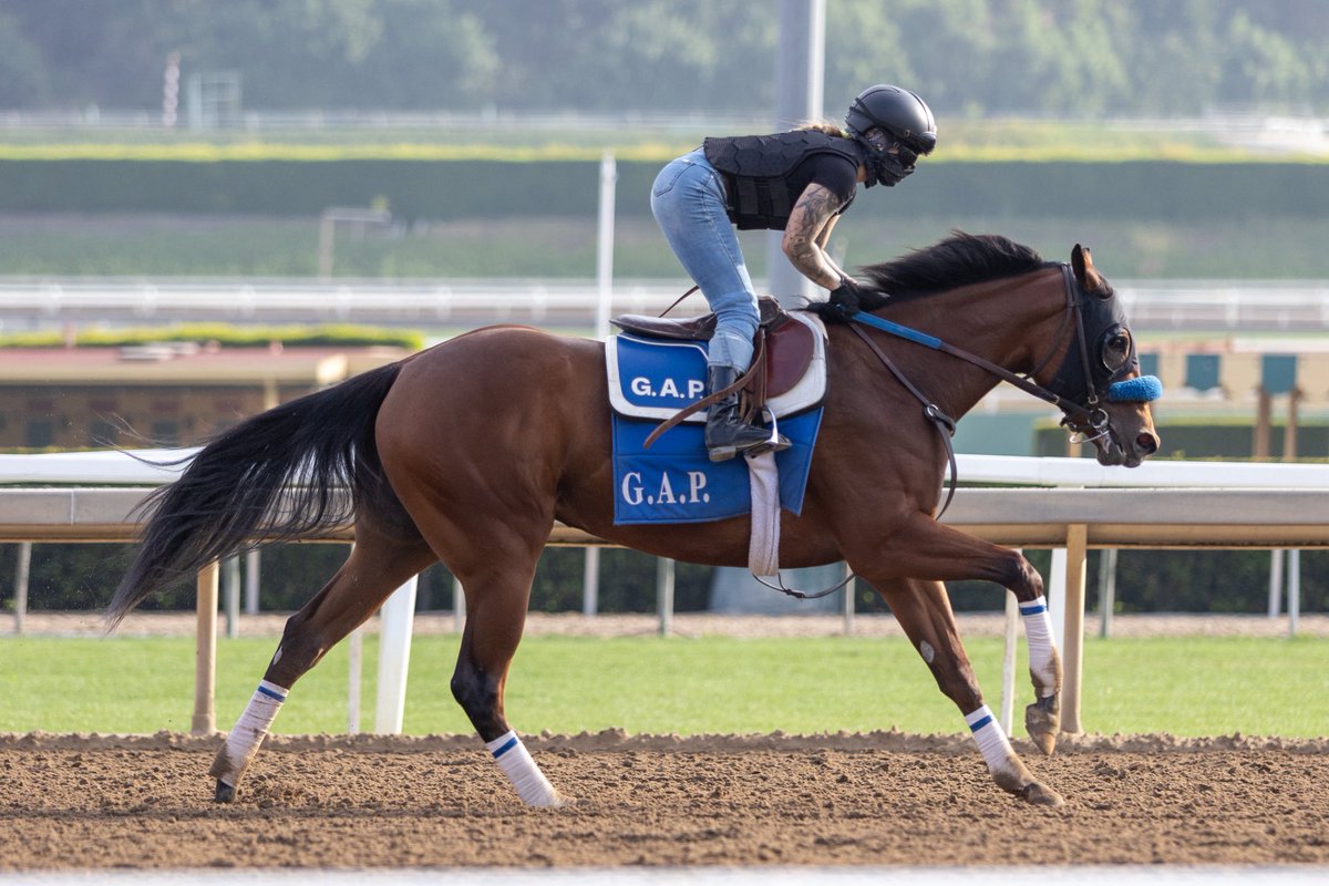 Followed by  Empress Ellie, Rock for Peach (inside), Ponytail Pete, Lorenzo Bernini, My Kat. #GAPRacing