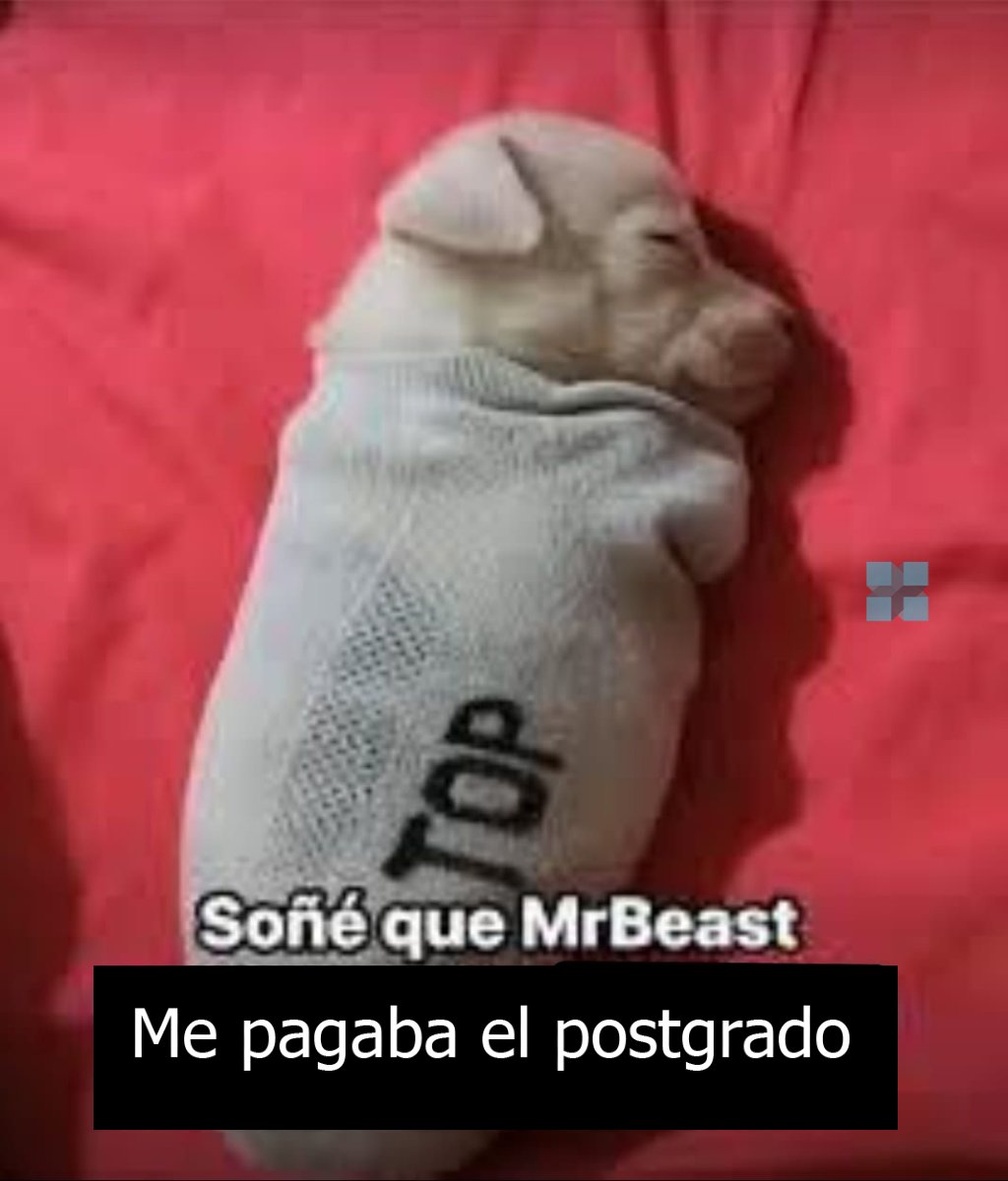AzulWebBlog's tweet image. Se vale soñar