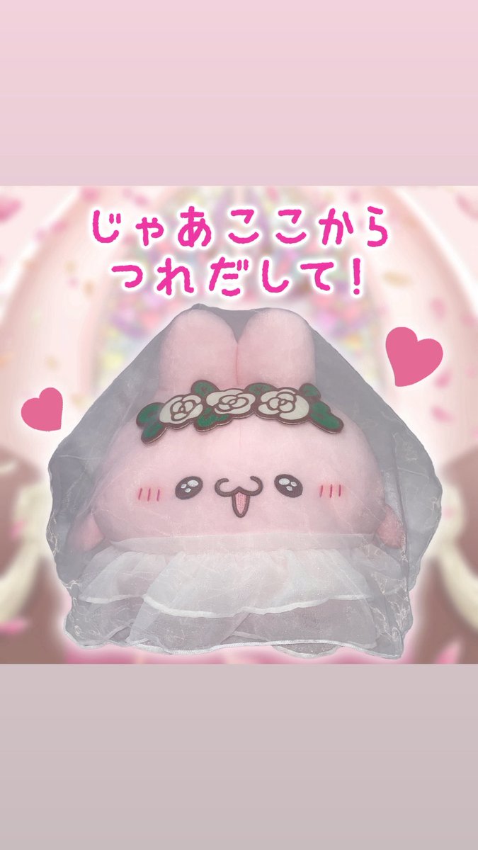 loveeeeeeez's tweet photo. せいりゃくけっこんキットだよー

https://t.co/niYMhuzCnQ https://t.co/7LmIrpKKv1