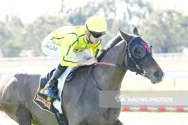 Grahame Begg Racing (@grahame_begg) on Twitter photo Today <a href="/SthsideRacing/">Southside Racing</a>
Race 3. Electric Elvis. Jockey <a href="/JChilds47/">Jordan Childs</a>
Race 8. Inexorable. Jockey <a href="/JChilds47/">Jordan Childs</a> Today <a href="/SthsideRacing/">Southside Racing</a>
Race 3. Electric Elvis. Jockey <a href="/JChilds47/">Jordan Childs</a>
Race 8. Inexorable. Jockey <a href="/JChilds47/">Jordan Childs</a>
