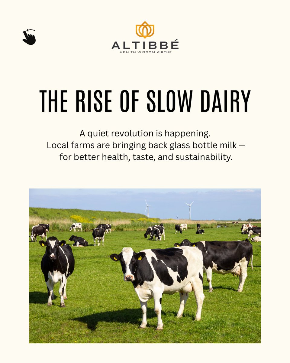 AltibbeInc's tweet photo. Glass bottle milk is making a comeback — and it’s smarter than ever. 🥛💡 Fresher taste, better health, zero plastic waste. 'Slow Dairy' isn’t slow at all — it’s the future. At Altibbe, we’re here for it. #SlowDairy #GlassBottleMilk #Altibbe #SustainableHealth https://t.co/dWtB9f6K8N