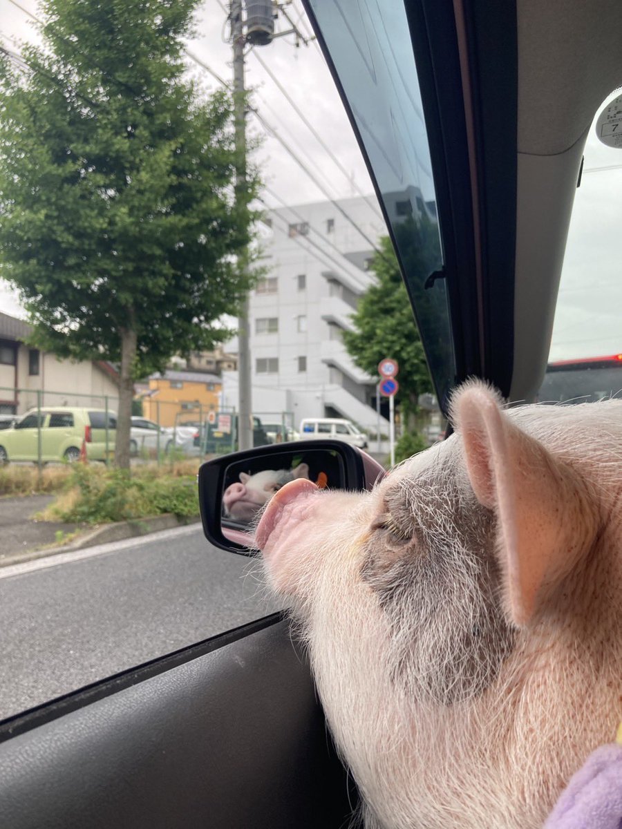 おしゃれして鎌倉向かいまーす❣️