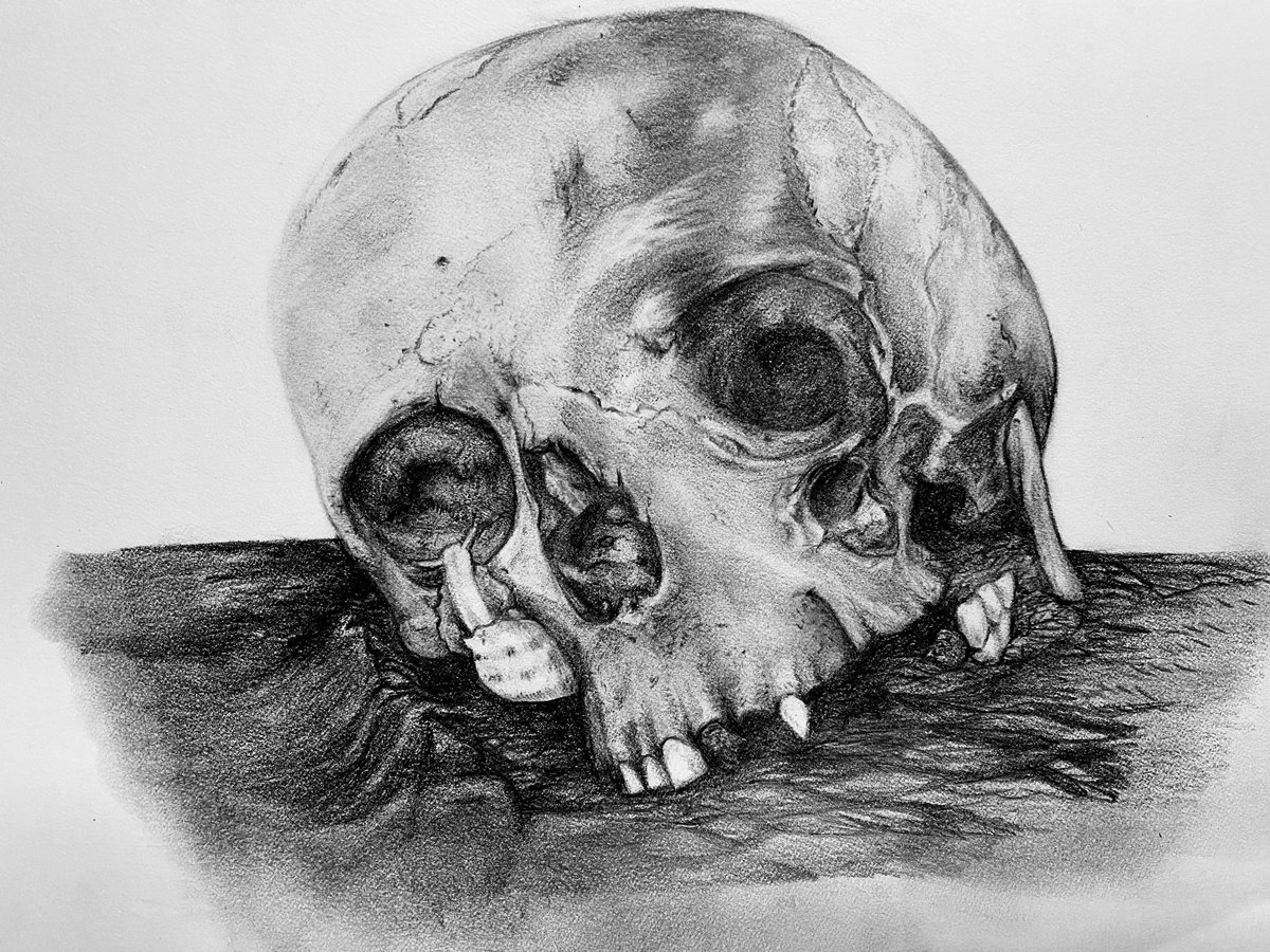 Commission are open
“I watched a snail crawl along the edge of a straight razor. This is my dream; this is my nightmare. Crawling, slithering, along the edge of a straight razor, and surviving” - #apocalypsenow
#graphiteart #tattooartist #chicago #traditional #realism #art #skull