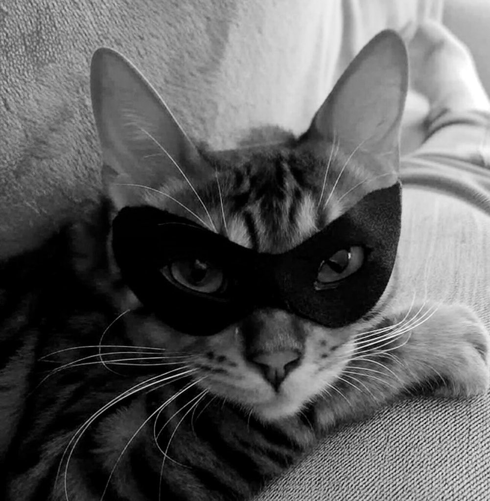 <a href="/StealerStorm1/">STORM (stealer of memes)🇺🇸🍊</a> <a href="/zerosum24/">Sim Warlord 🌶🇺🇸🥷</a>