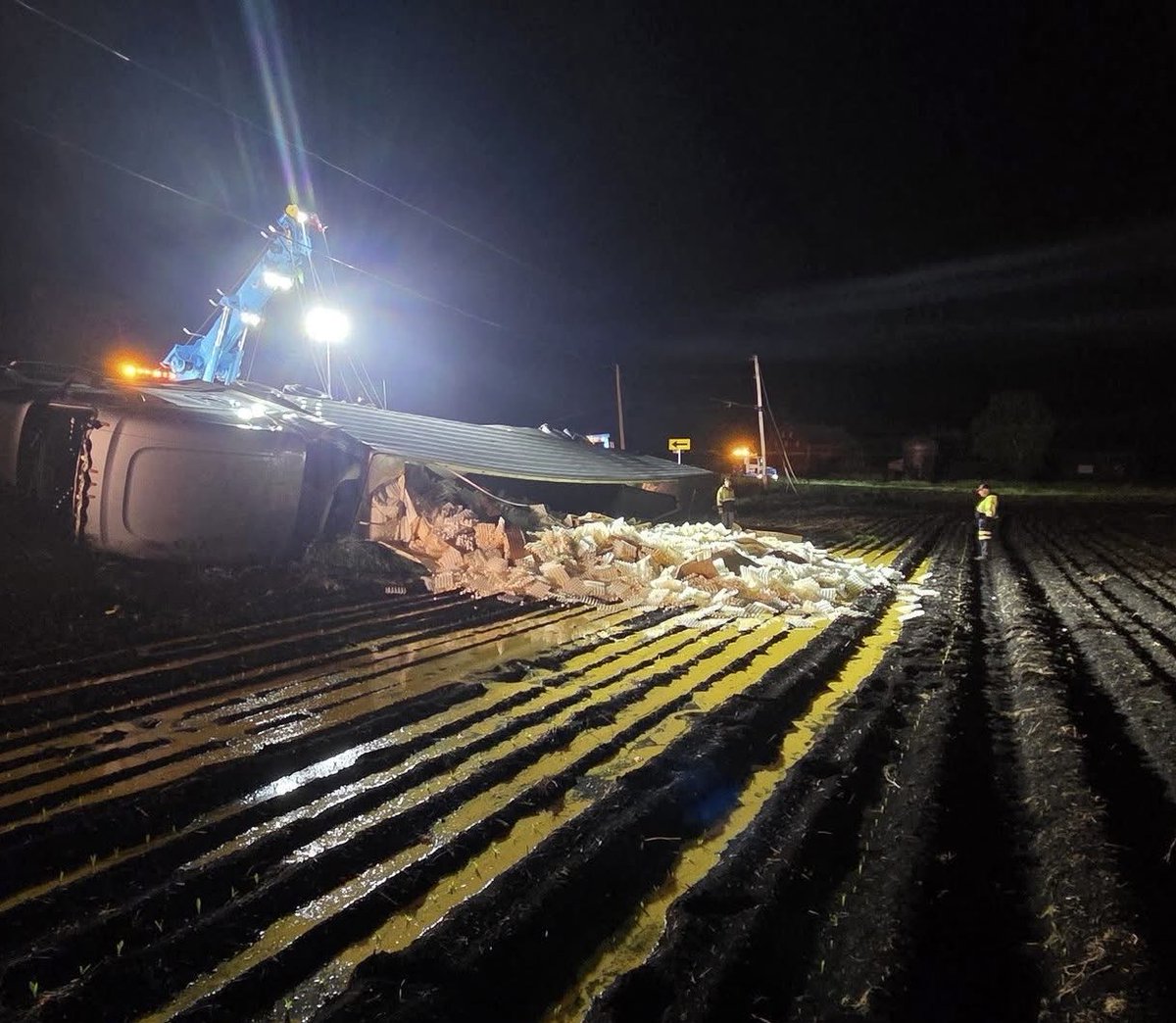 A truck overturned and dumped 22 thousand eggs in one of our fields 🤦‍♀️ What a mess! 

#Goodnight 🌛🕊️💫