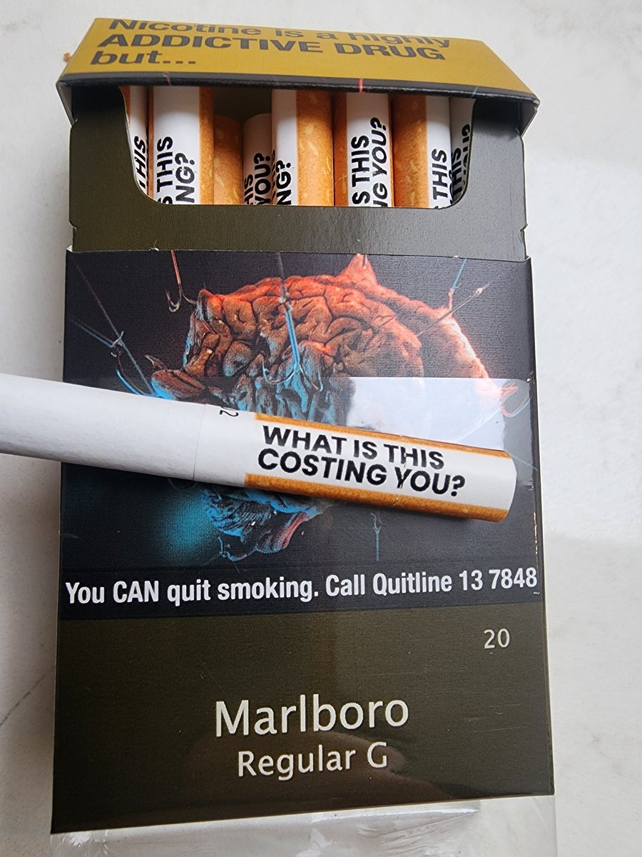 Matthew Camenzuli tweet media