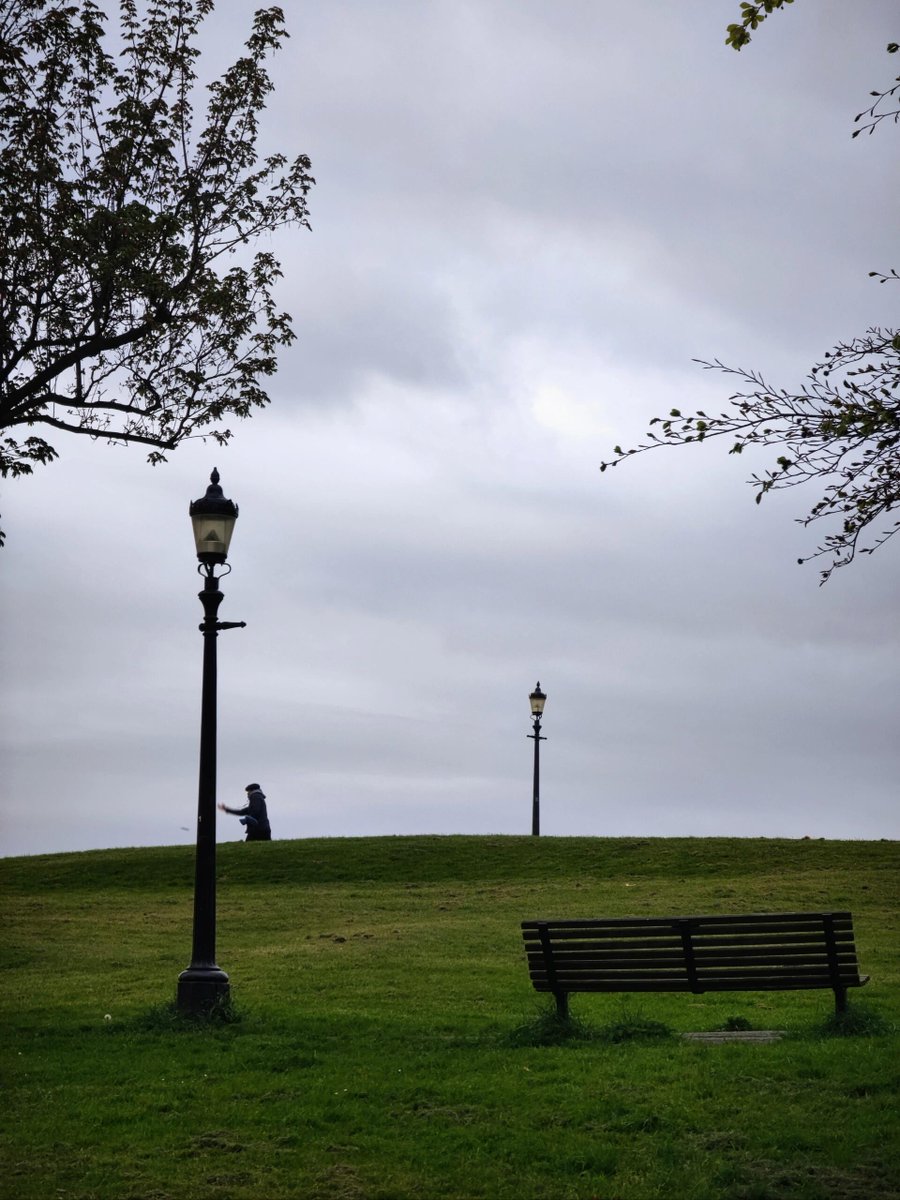 mjqqjss's tweet image. 曇り空の下で撮る写真、より味が出る。📷