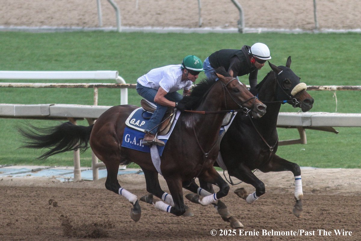 Balladeer (outside, 5F: 1:02.20 H) working this morning in company with Tessuto (outside, 5F: 1:02.20 H). Hall of Fame jockey Kent Desormeaux aboard Balladeer.