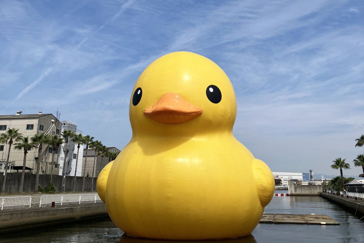ラバーダック おまとめ ラバー・ダック オリジナルグッズ販売@2025/6/5~9
