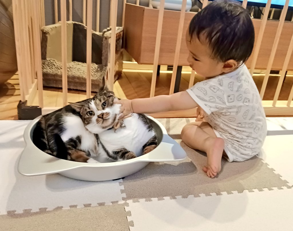 瑞希*@NO.CAT🐱/NO.LIFE🐻🎩 (@Cat_5607ch) / Posts / X