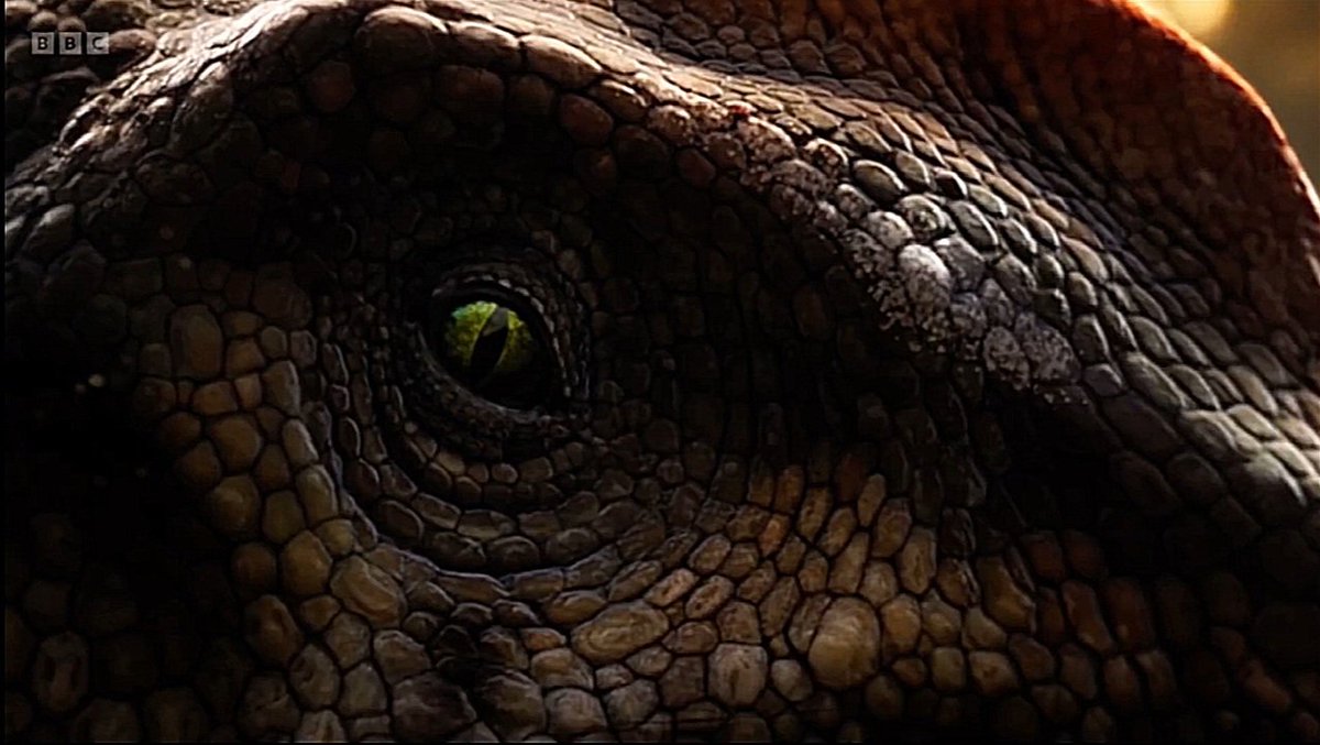 Mahajangasuchus's tweet image. My opinion on #WWD2025 episode "River Dragon":
THIS EPISODE IS A MASTERPIECE! Nearly everything was great, I loved both the Spinosaurus &amp;amp; Carcharodontosaurus, many scenes were genuinely fresh &amp;amp; interesting, scientific parts were informative &amp;amp; biodiversity was much greater!

9/10