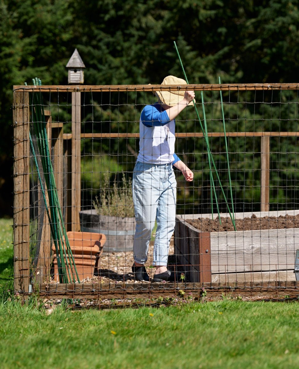 Bogs Footwear tweet media