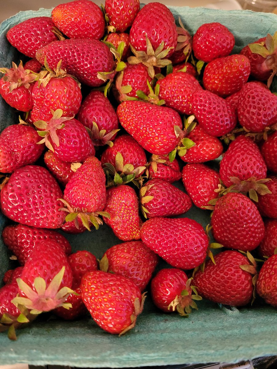 authorkatebrown's tweet image. It's my favorite time of the year, when the first batches of local strawberries are out!! These are the best you will ever taste!!