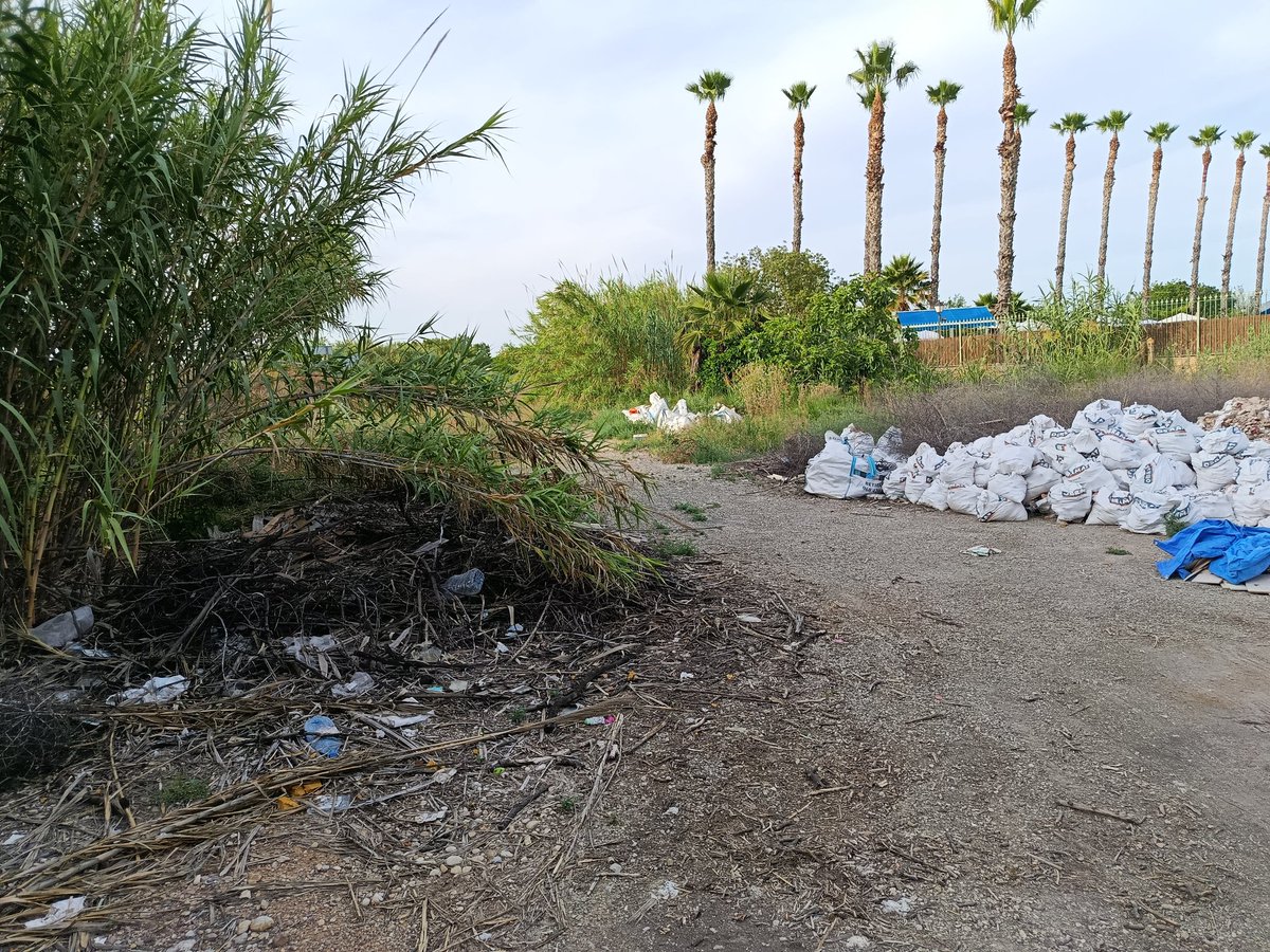 Vertedero junto a piscina de Salabosque
<a href="/AytoMurcia/">Ayuntamiento de Murcia</a> <a href="/Rebepl/">Rebeca Pérez</a> <a href="/mucsostenible/">Murcia Ciudad Sostenible</a> <a href="/murcia_lab/">MurciaLAB</a> <a href="/MejoraMurcia/">MejoraMurcia</a>