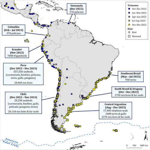 Wow.. its probably been over a year since this one was submitted, but its finally out! Herein we review HPAI across South America (and discuss the threat to Antarctic, prior to its arrival).
👉conbio.onlinelibrary.wiley.com/doi/10.1111/co…