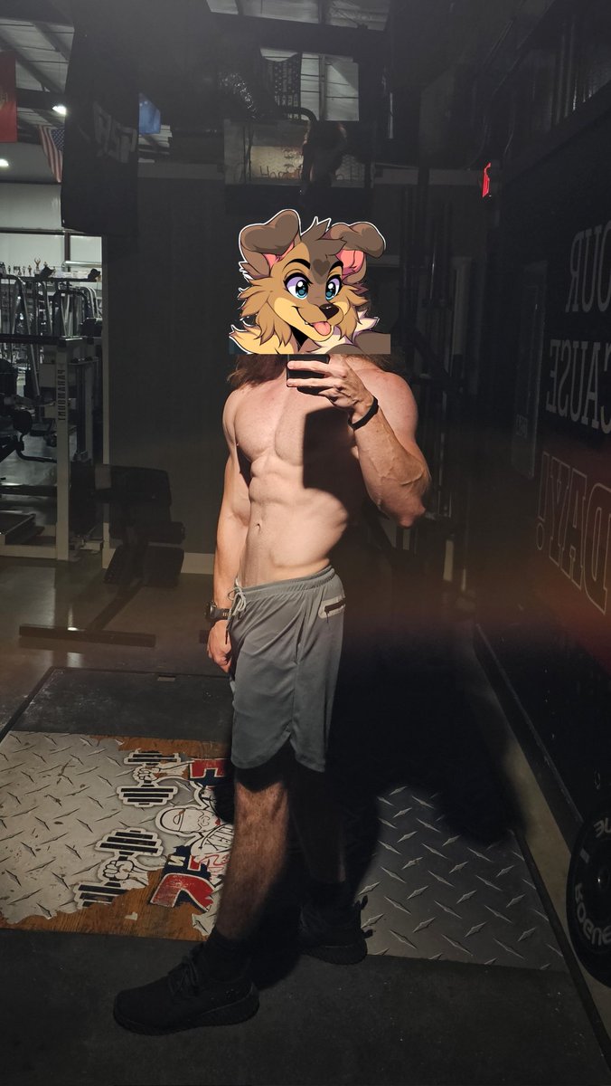 Furry goes gym 💪🏼
#furry #gymfur