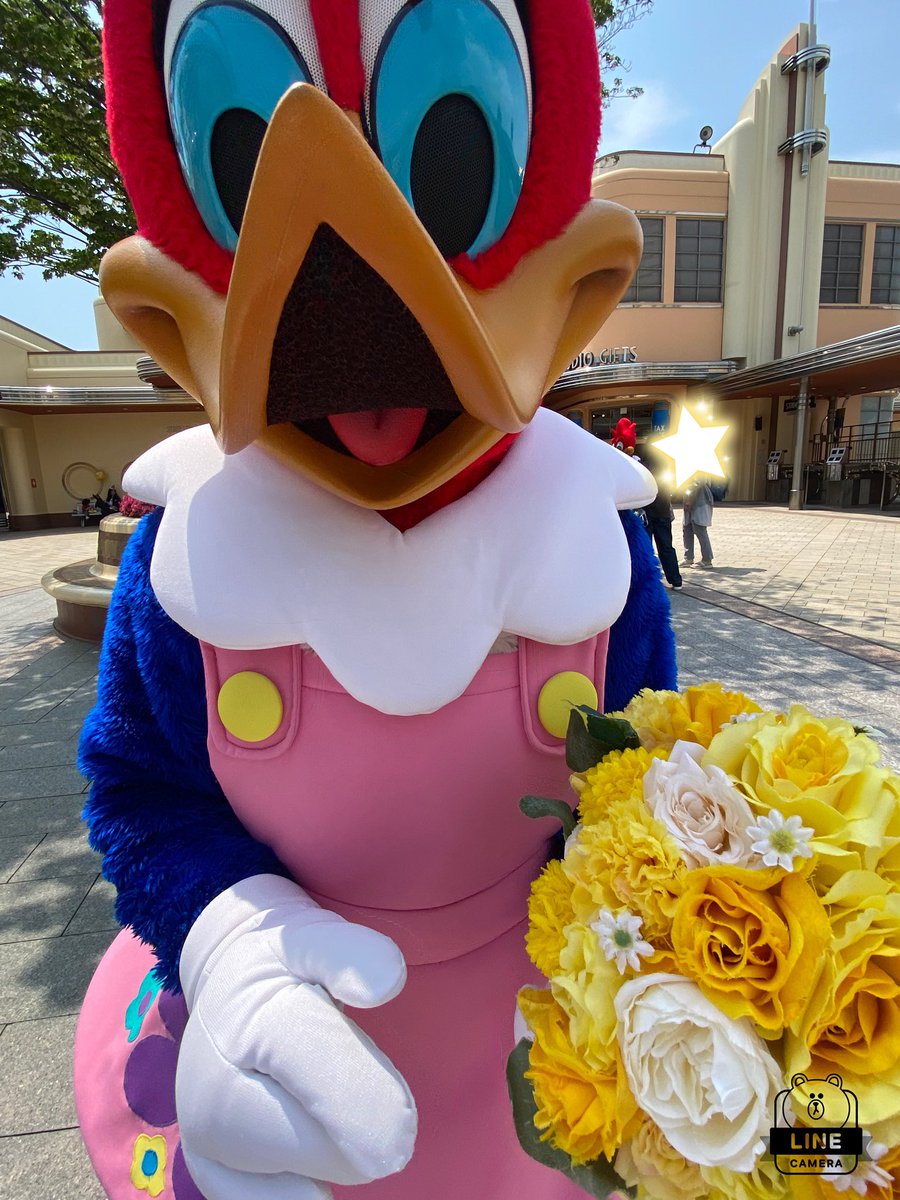 chiyomi45574194's tweet image. おはようございます☀

ウィニーちゃん
お誕生日シールに気がついてくれました😍
持ってたお花を私につけてくれました💐

ウィニーちゃん
いつもありがとう❤️

＃USJファン