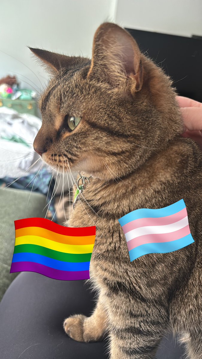 pickles wishes everyone a happy pride month