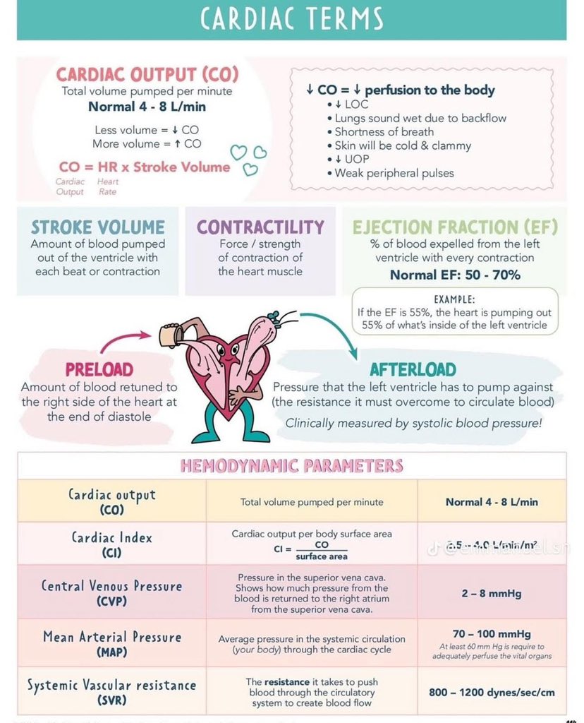 AB_drmd's tweet photo. مصطلحات مهم جدا تكون فاهمها بخصوص cardiovascular system:

💓 أول شي: وش هو Cardiac Output (CO)؟
Cardiac Output (CO) يعني: كمية الدم اللي يضخها القلب كل دقيقة.
المعدل الطبيعي؟ من 4 إلى 8 لتر بالدقيقة.
إذا قل → الأعضاء ما توصلها تغذية كويس
إذا زاد → ممتاز، الدم يوصل للجسم زي الحلاوة 🚚💨
🔹 القاعدة الذهبية:
 CO = HR × Stroke Volume
يعني لو نبض القلب زاد أو كمية الدم اللي تنضخ بكل نبضة زادت → بيزيد CO
ولو نقص واحد منهم → ينقص CO

😵‍💫 طيب وش يصير لو CO نزل؟
✨ الجسم يتوتر ويبدأ يعاني:
المريض يبدأ يغيب عن الوعي (↓ LOC)
الرئة تعطي صوت مو طبيعي (fluid يتجمع من قلة الضخ)
يلهث، ما يقدر ياخذ نفس
الجلد يصير بارد وملبد
البول يقل (↓ UOP)
النبض يصير ضعيف

🫀 نجي لتعريفات ثانية مهمة مرة:
🔹 Stroke Volume
هذي كمية الدم اللي يطلعها البطين مع كل نبضة.
فكر فيها كأنها "رشّة" دم بكل ضغطة.
🔹 Contractility
هذي قوة العضلة نفسها، يعني: "وش كثر القلب يقوى يضغط؟"
إذا العضلة قوية → الدم يندفع بقوة
إذا ضعيفة (مثلاً في heart failure) → الدم يطلع بكسل 😩
🔹 Ejection Fraction (EF)
النسبة المئوية من الدم اللي يطلع من البطين الأيسر بكل ضغطة.
الطبيعي؟ من 50% إلى 70%
💡 مثلاً: EF = 55% يعني إن 55% من الدم اللي بداخل البطين انضخ، والباقي بقى.
لو قل كثير → ممكن يكون عندك Heart Failure!

⬅️➡️ نكمل القصة مع:
🔴 Preload
هذي كمية الدم اللي ترجع للقلب قبل ما يضغط (نهاية الاسترخاء).
كل ما زاد الدم اللي رجع → القلب يجهز لضغط أكبر (زي البالونة إذا نفختها كثير، تضغط بقوة لما تنفجر 🧨)
🔵 Afterload
هذي المقاومة اللي البطين الأيسر لازم يتغلب عليها عشان يضخ الدم.
زي لما تحاول تضغط طاسة مويه فيها ثقب صغير: لازم ضغط قوي عشان يطلع المويه.
نقيسه غالبًا بـ Systolic Blood Pressure

📊 الحين نجي للـ Hemodynamic Parameters:
خلنا نفهمهم ببساطة:
🔸 CO: تكلمنا عنه — كمية الدم بالدقيقة (4-8 L/min)
🔸 CI (Cardiac Index):
نفس CO، بس مقسوم على مساحة الجسم عشان نعرف "وش كثر مناسب لجسمك؟"
الطبيعي: 2.5 - 4.0 L/min/m²
🔸 CVP (Central Venous Pressure):
ضغط الدم في الوريد الأجوف العلوي.
يدل على كمية الدم اللي راجعة للقلب → لو مرتفع؟ ممكن يكون فيه احتقان
الطبيعي: 2 - 8 mmHg
🔸 MAP (Mean Arterial Pressure):
هذا متوسط الضغط اللي الجسم يحتاجه عشان يتغذى
المهم؟ لازم يكون ≥ 60 mmHg على الأقل لتروية الأعضاء
الطبيعي: 70 - 100 mmHg
🔸 SVR (Systemic Vascular Resistance)
 المقاومة اللي يواجهها الدم وهو يمشي بالشرايين
 إذا زادت → القلب يتعب أكثر
 الطبيعي: 800 - 1200 dynes/sec/cm⁵