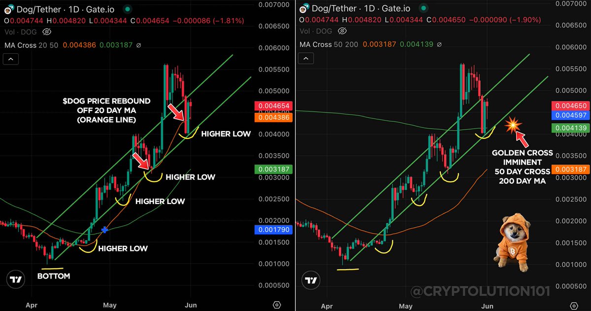 Cryptolution's tweet photo. $DOG is forming higher lows on the daily time frame.

(LEFT) $DOG price continues to rebound from 20 day moving average (red arrows) as seen in previous parabola events (June & December 2024).

(RIGHT) The 50 day moving average (orange line) continues its rise and will soon cross 200 day MA. This will form the long awaited GOLDEN CROSS 💥🚀