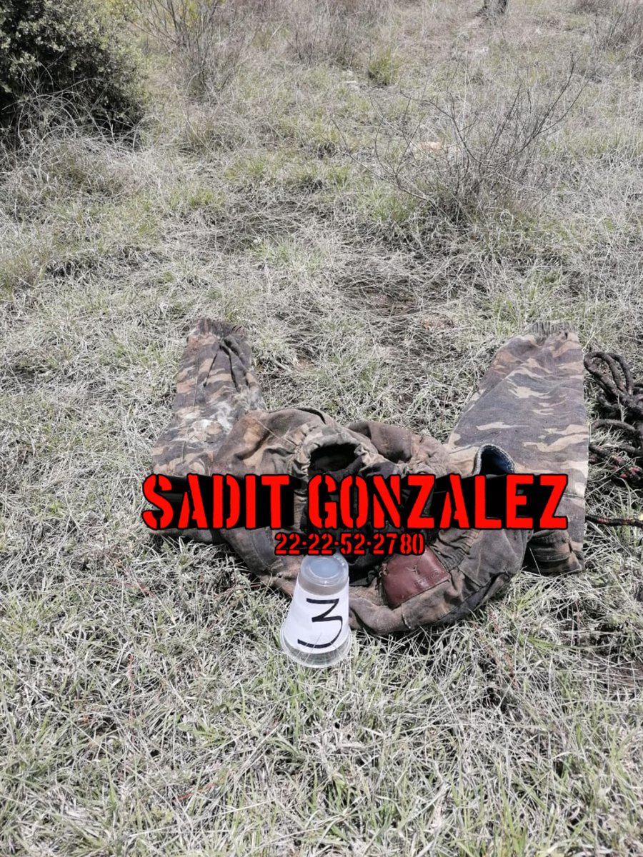 Los restos humanos de una persona que ya eran devorados por la fauna fueron hallados en el municipio de Tecali de Herrera.

Esto ocurrio en el paraje denominado como "La Joya en la junta auxiliar de San Buenaventura Tetlananca.