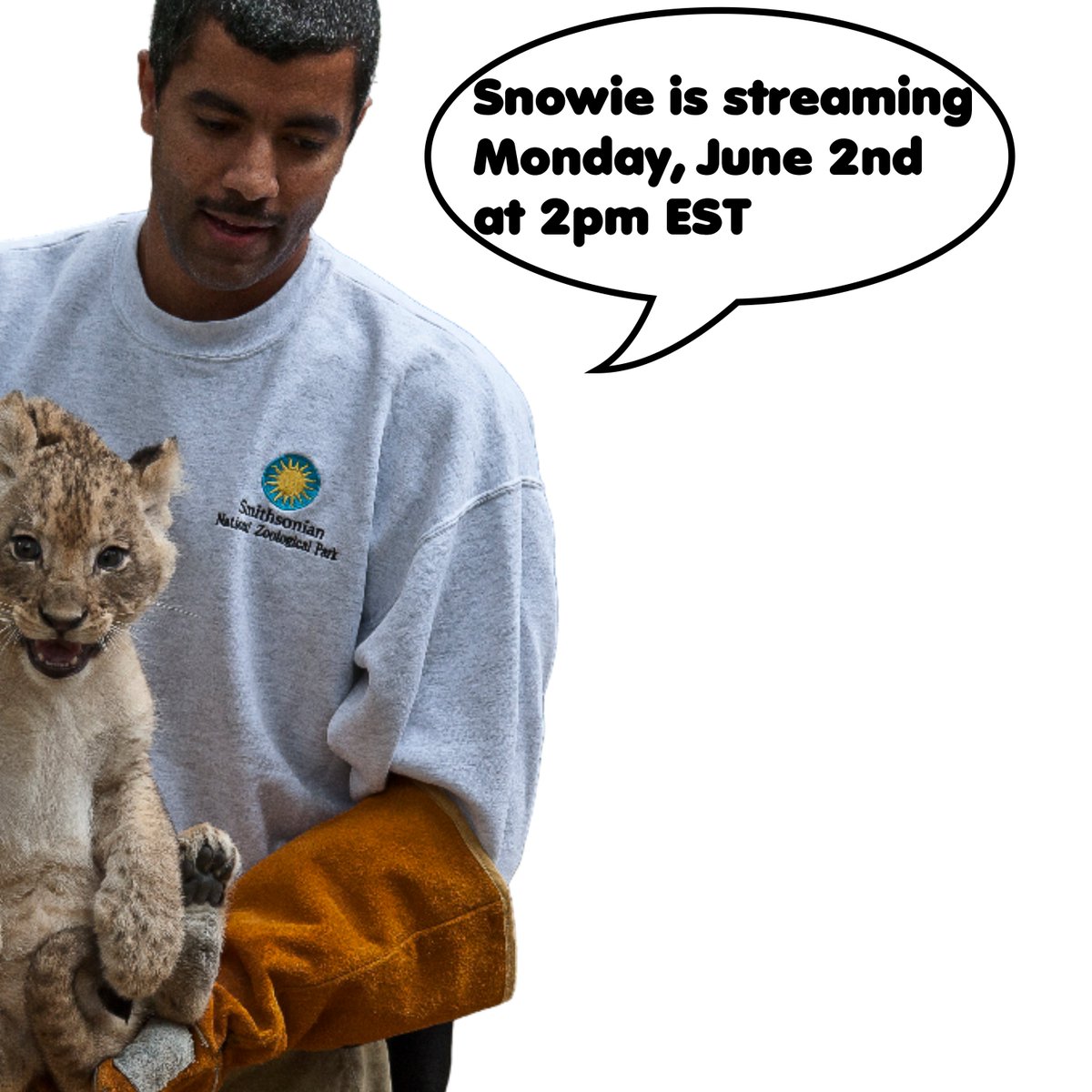 DONOTHON DAY 1 STARTS TOMORROW 🤍