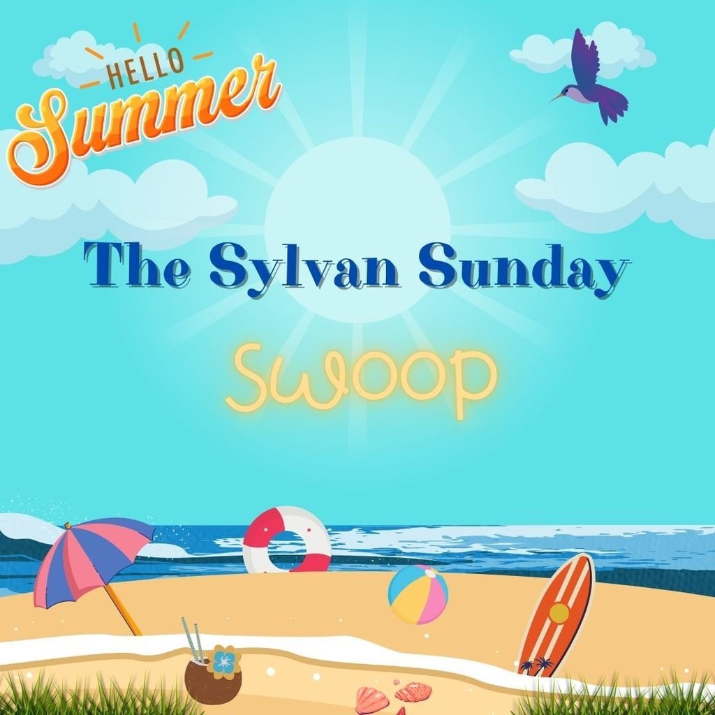 Click the link below to check out this week's Sylvan Sunday Swoop! secure.smore.com/n/qau6h