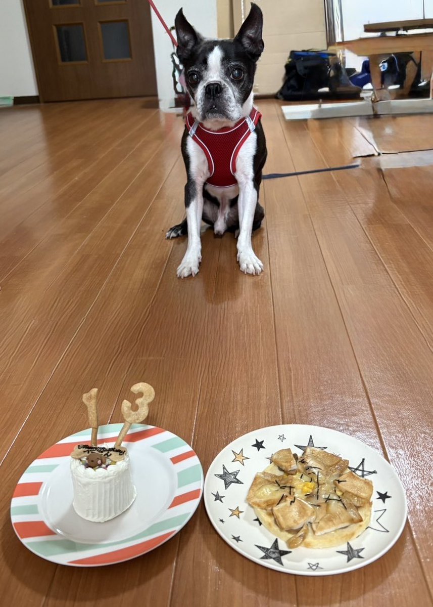 0602bacon's tweet photo. べーこん誕生日おめでとう🎊
初めてイラスト描いてもらった🎨
可愛い😍 https://t.co/VtbzIJYA7c