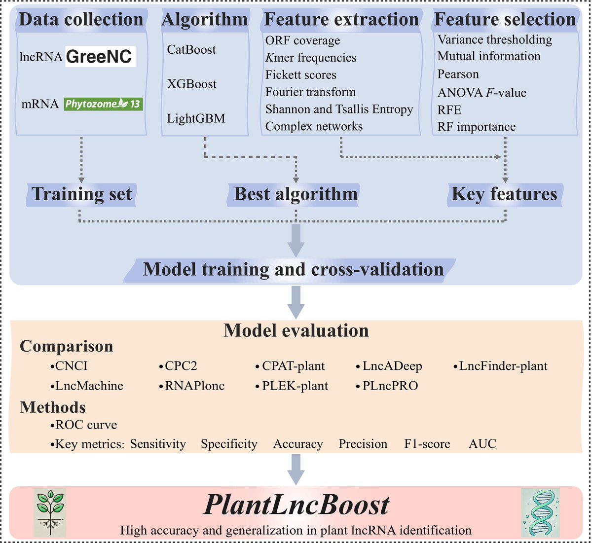 New Phytologist (@newphyt) on Twitter photo Breaking through: PlantLncBoost sets new standard in plant lncRNA detection
Tian et al. <a href="/UmeaPlantSci/">Umeå Plant Science Centre (UPSC)</a> <a href="/genomevo/">Jianfeng</a> <a href="/lgn_esalq_usp/">LGN-ESALQ-USP</a>
📖 nph.onlinelibrary.wiley.com/doi/10.1111/np… Breaking through: PlantLncBoost sets new standard in plant lncRNA detection
Tian et al. <a href="/UmeaPlantSci/">Umeå Plant Science Centre (UPSC)</a> <a href="/genomevo/">Jianfeng</a> <a href="/lgn_esalq_usp/">LGN-ESALQ-USP</a>
📖 nph.onlinelibrary.wiley.com/doi/10.1111/np…