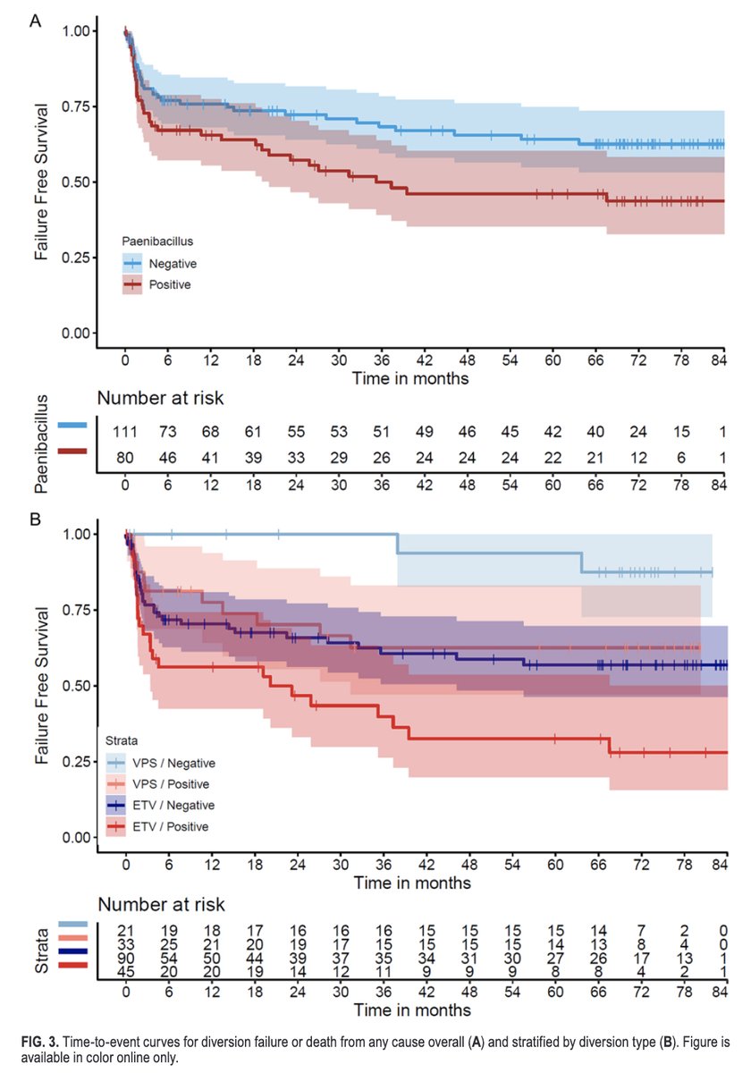 #OnlineFirst: Poor surgical outcomes following Paenibacillus infant infectious hydrocephalus.
thejns.org/pediatrics/vie…