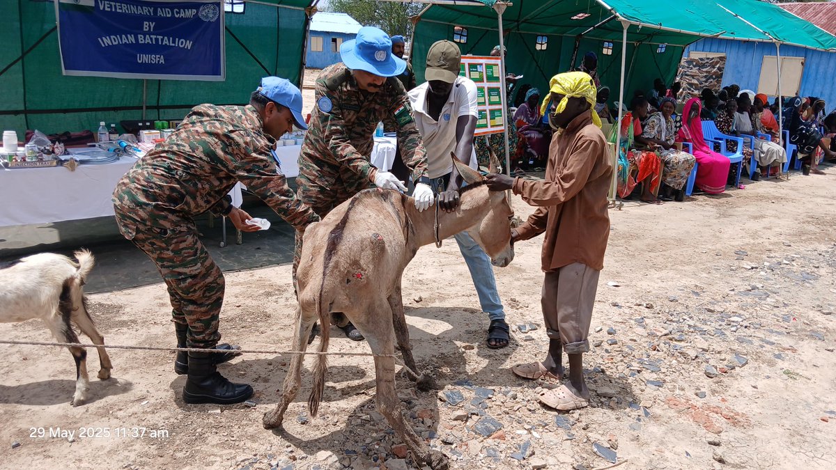 On #PKDay &amp; every day, <a href="/UNISFA_1/">UNISFA</a> peacekeepers support peace and welfare in #Abyei. 

Recently, the Indian battalion 🇮🇳 provided free health services &amp; training on agricultural practices to communities, &amp; treated 100+ animals, critical for their livelihood. <a href="/adgpi/">ADG PI - INDIAN ARMY</a> <a href="/IndiainNewYork/">India in New York</a>