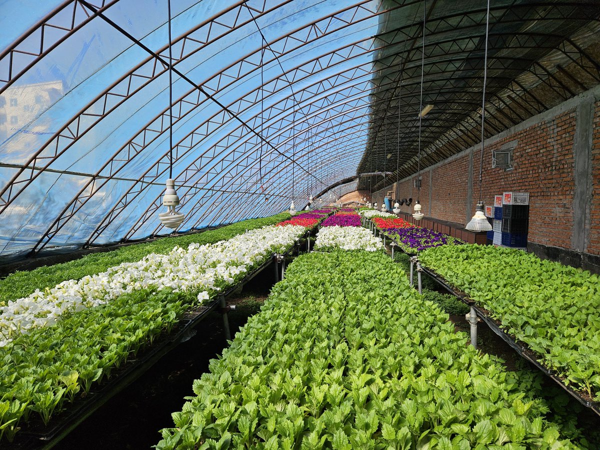 Хийсэн ажлаараа л онгироод бгаа ухаантай... 

Шинэ 7 хоногийн мэнд хүргэе.