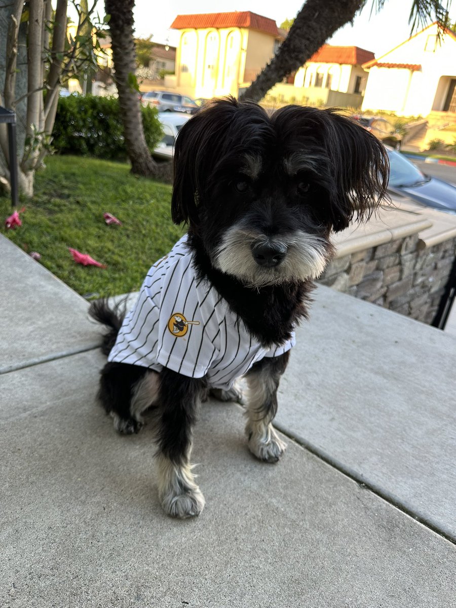 #PadresPets