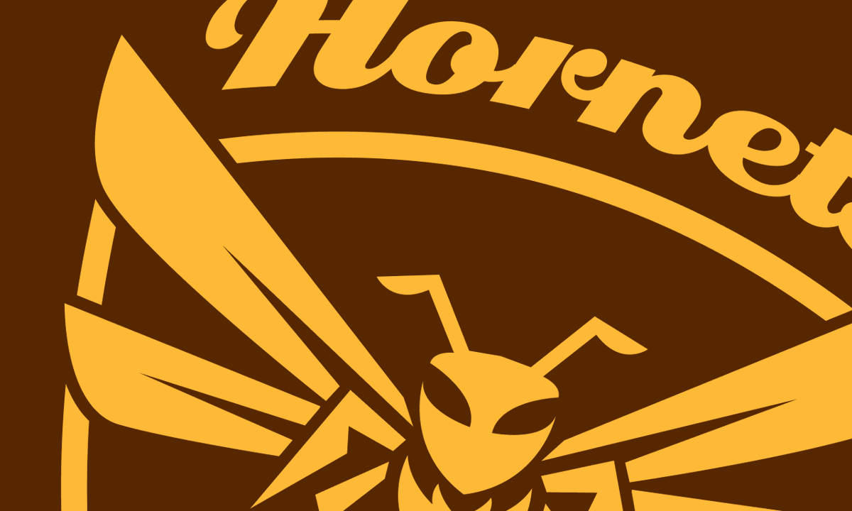 *NEW* Design Project: Aspley Hornets AFC

masey.co/post/785138491…