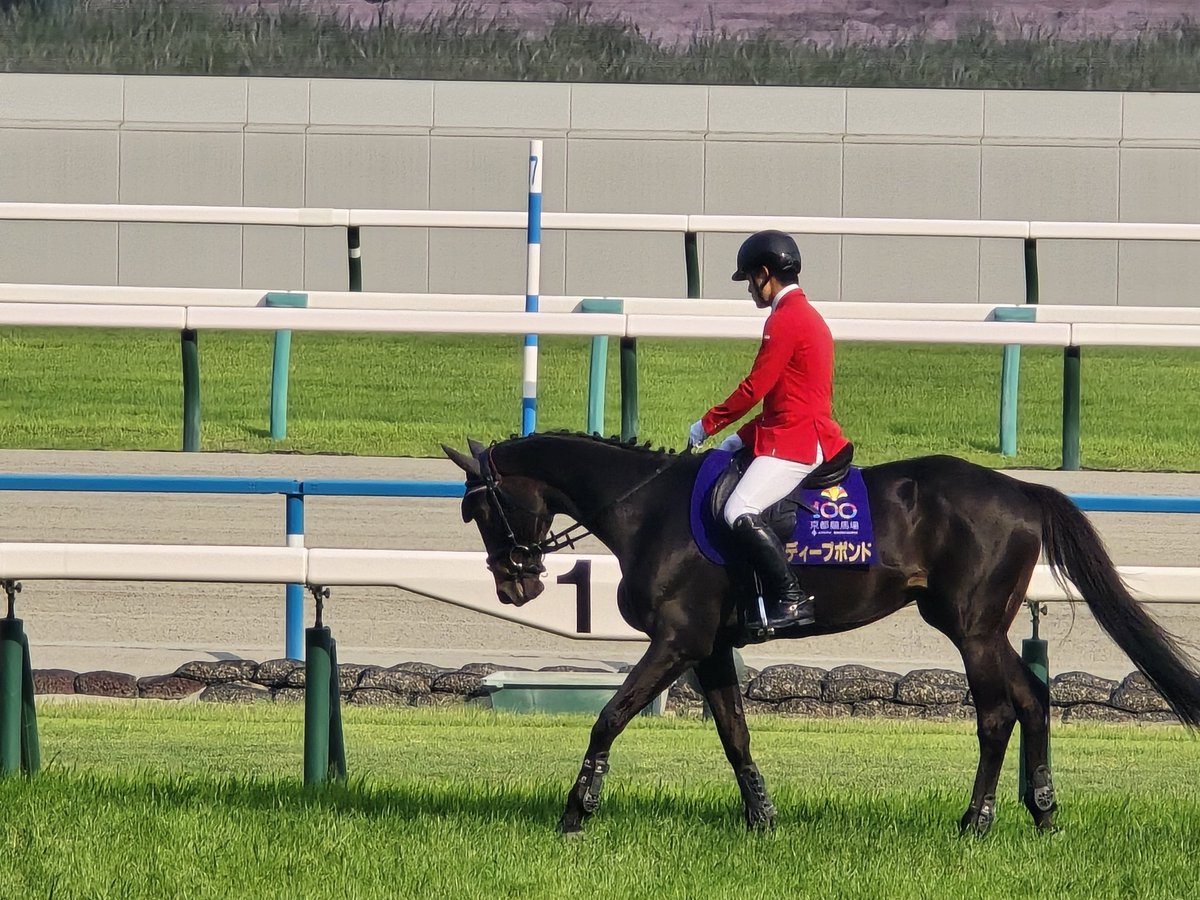 ukiukikintama's tweet photo. 京都競馬場 https://t.co/PwT7feQeRW