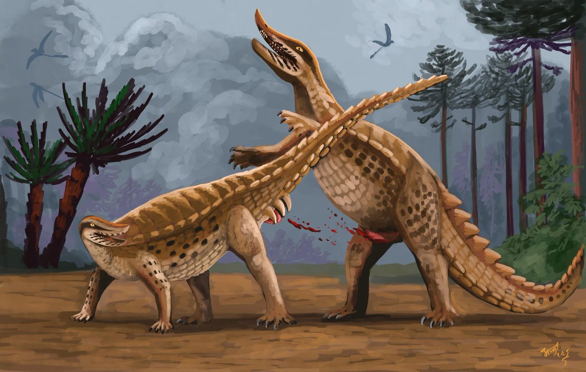 Female Typithorax performing apophallation on a male to plug the cloaca from unwanted suitors, or female-mimicking male neutering a competitor? Or just me trying to explain the mysterious cloacal spike osteoderms on this Triassic aetosaur :B
