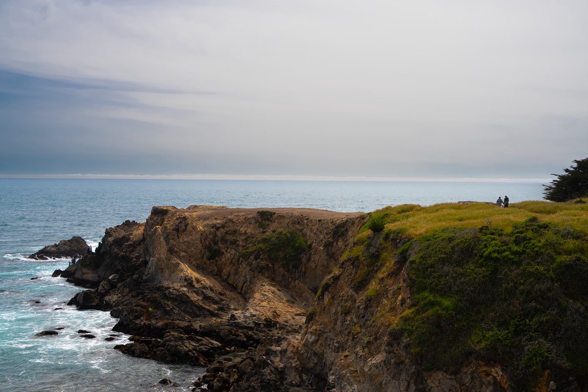 Bubba_Shoots's tweet photo. Ocean Cove 2025 https://t.co/FGuYGm5DSd