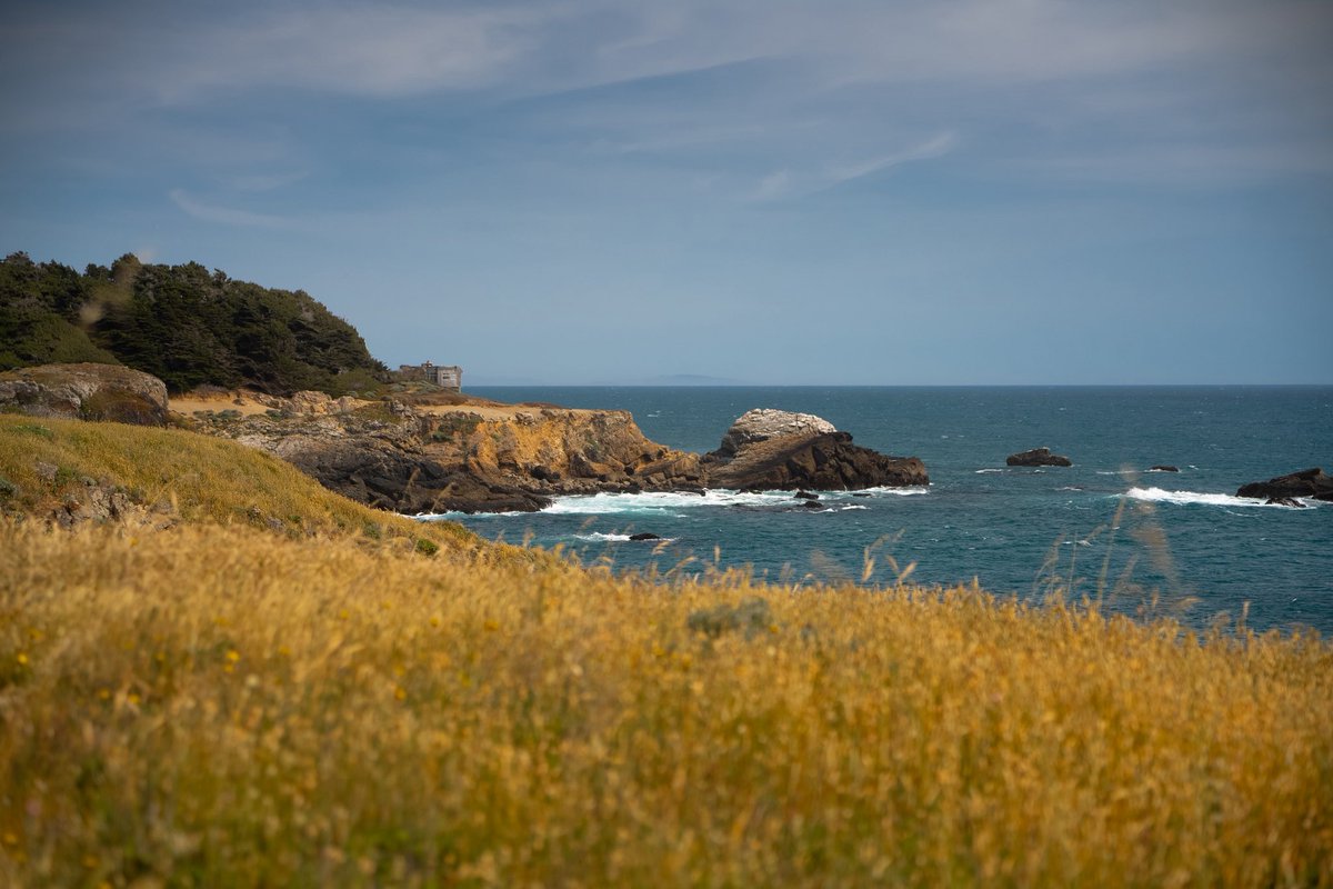 Bubba_Shoots's tweet photo. Ocean Cove 2025 https://t.co/FGuYGm5DSd