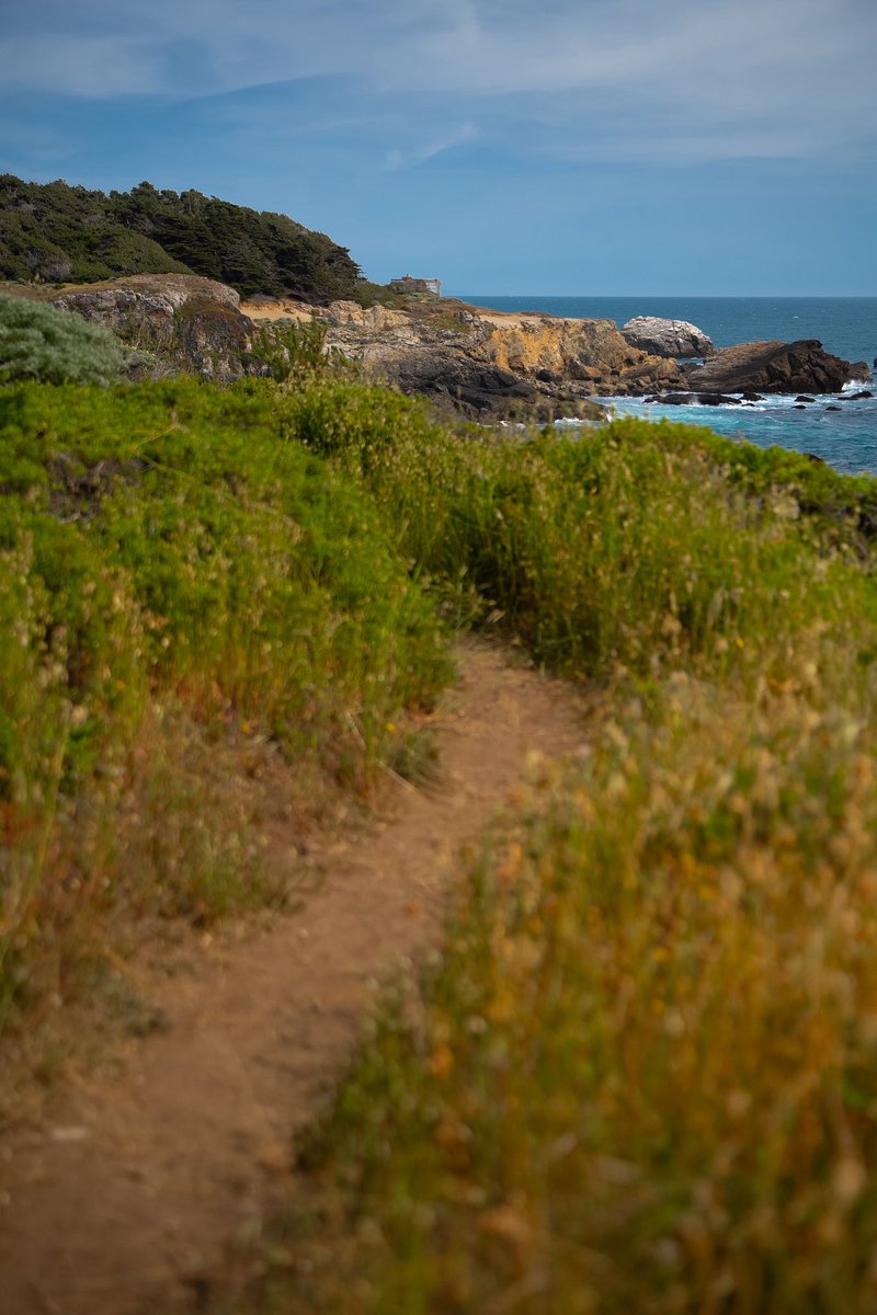 Bubba_Shoots's tweet photo. Ocean Cove 2025 https://t.co/FGuYGm5DSd