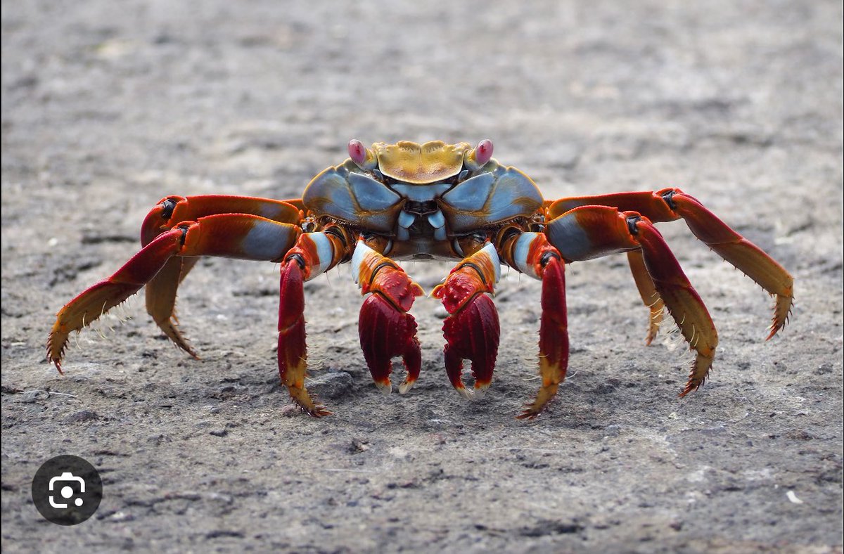 Rainyokall's tweet image. I think you should know about my My wife and kids…