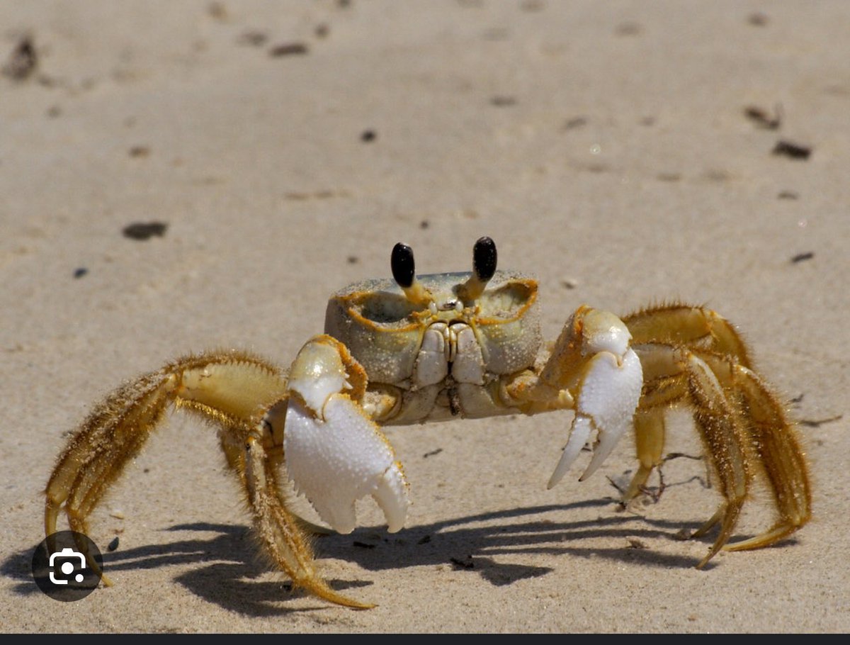 Rainyokall's tweet image. I think you should know about my My wife and kids…