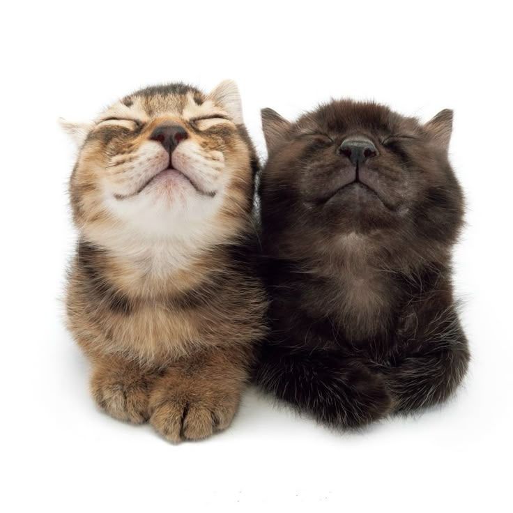 linoluvcIub's tweet photo. #NewProfilePicture are They https://t.co/tCPZLxv21J