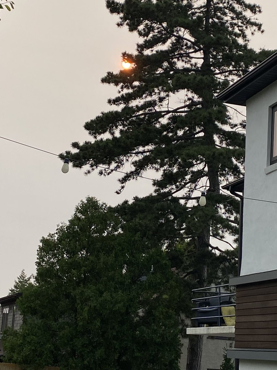 If the government of <a href="/Canada/">Canada</a> weren’t such Progressive Leftists and had implemented a 20th Century forest management policy, I’d be sitting underneath clear skies in Iowa right now.
