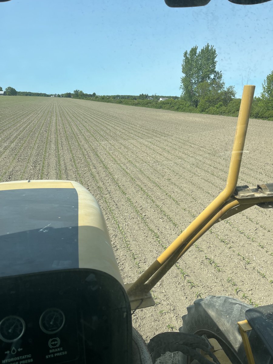 As usual we have another unintended trial this year..Sh!T happens…we have a bit of corn at an ultra low pop comparison..34000 ppa vs about a third of that..it’s always something.