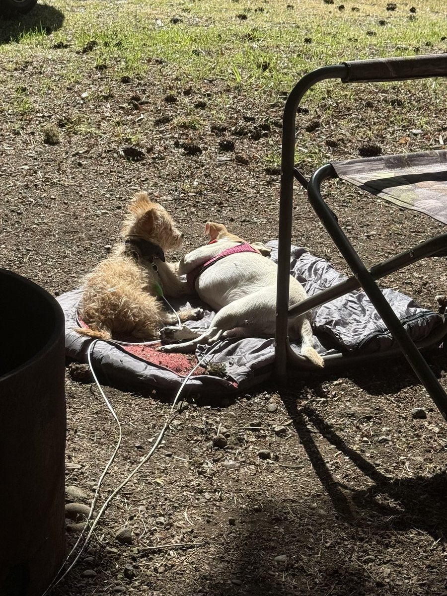 Campers soaking up the sun…