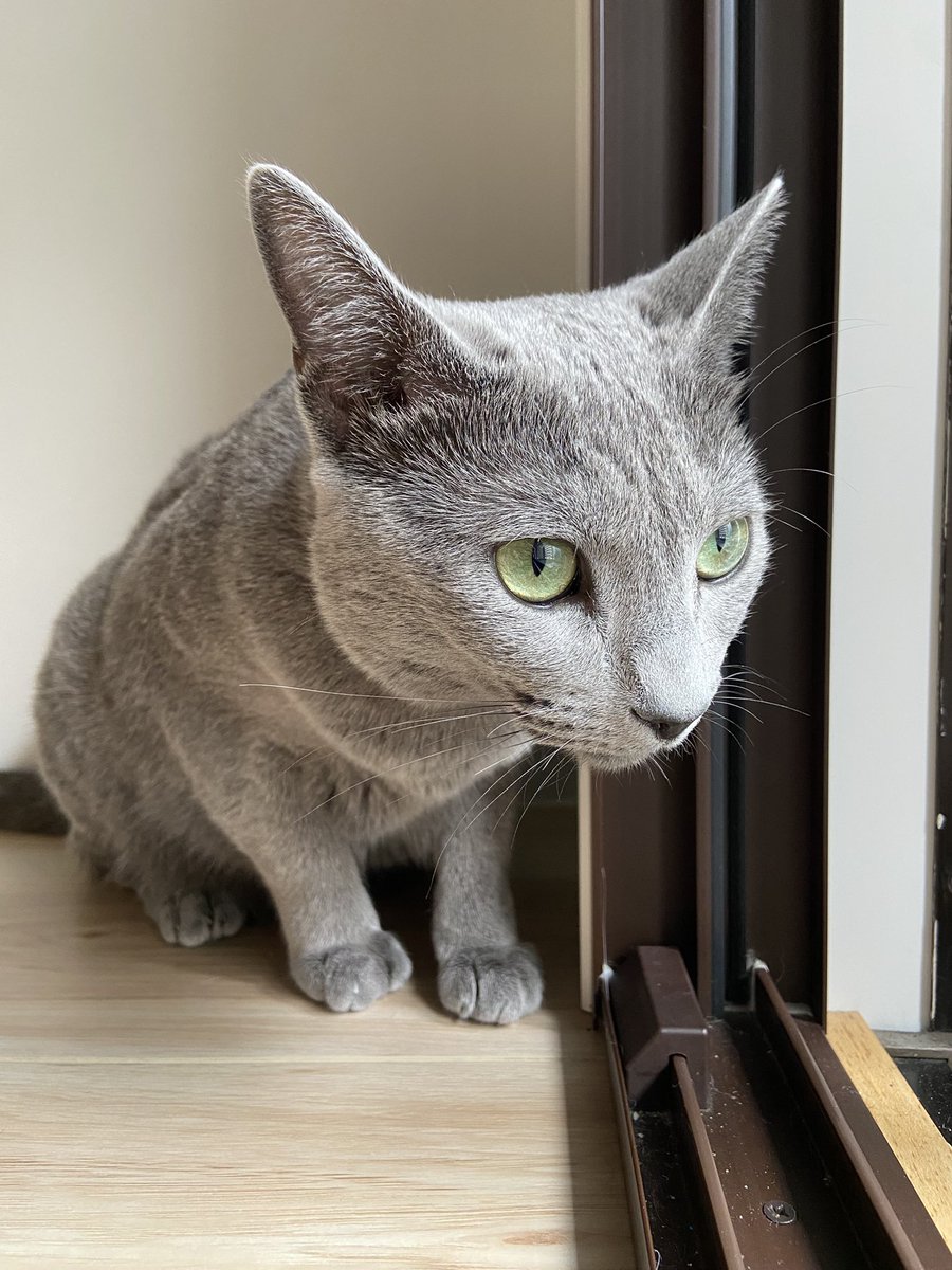 毎日ぷんちゃん