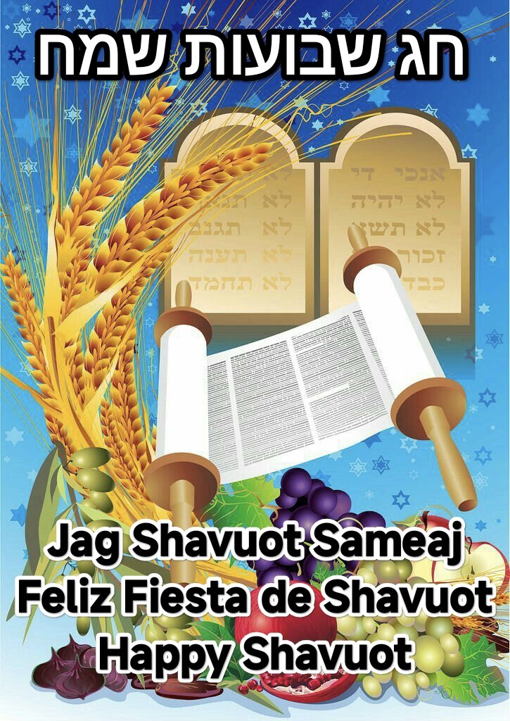 tzion_group's tweet photo. https://t.co/XnYZDFZS8J