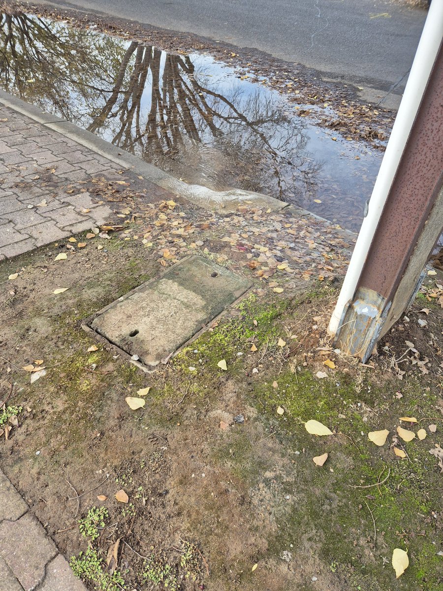 Irma Reyes tweet media