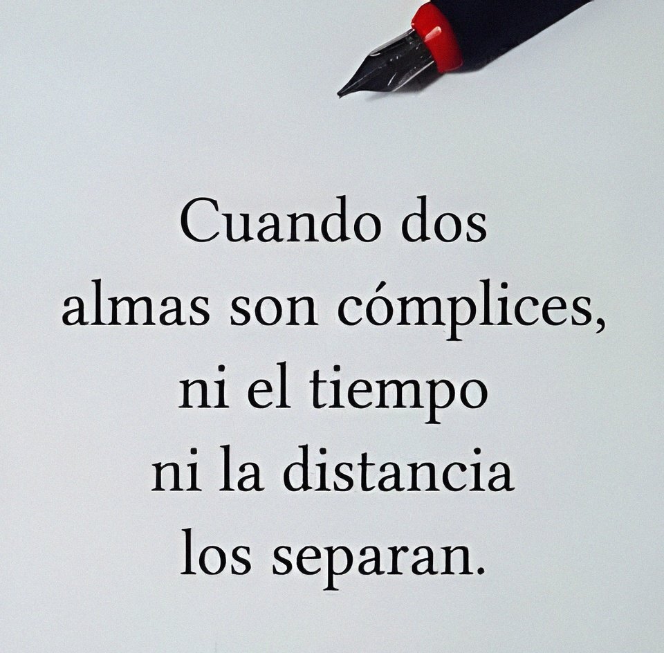 Verdad, 🍂♥️🍂♥️🍂♥️🍂♥️🍂♥️🍂♥️🍂♥️🍂♥️🍂♥️🍂♥️