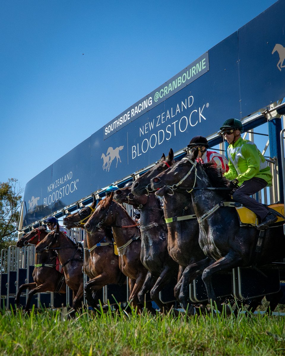 Southside Racing (@sthsideracing) on Twitter photo It's been another busy morning of <a href="/KarakaChat/">New Zealand Bloodstock</a> jumpouts at Southside Cranbourne! 🏇
Check out all of the results and replays at racing.com. It's been another busy morning of <a href="/KarakaChat/">New Zealand Bloodstock</a> jumpouts at Southside Cranbourne! 🏇
Check out all of the results and replays at racing.com.